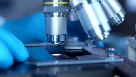 啊轻点啊再深点视频免费 - 气候科学家专访